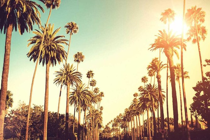 3.5-Hour LA Story Tour: Our Most Popular Los Angeles Tour! - La Brea Tar Pits and the Petersen Automotive Museum