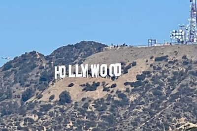 Anaheim: Los Angeles & Hollywood Day Tour