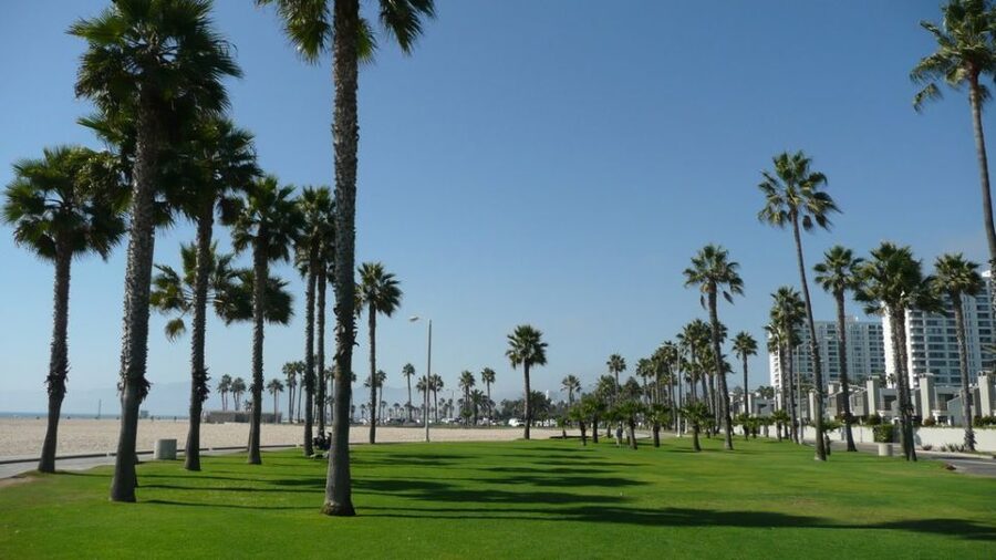 Best of Los Angeles Day Tour with German-Speaking Guide - German-speaking guides and the value of personal attention