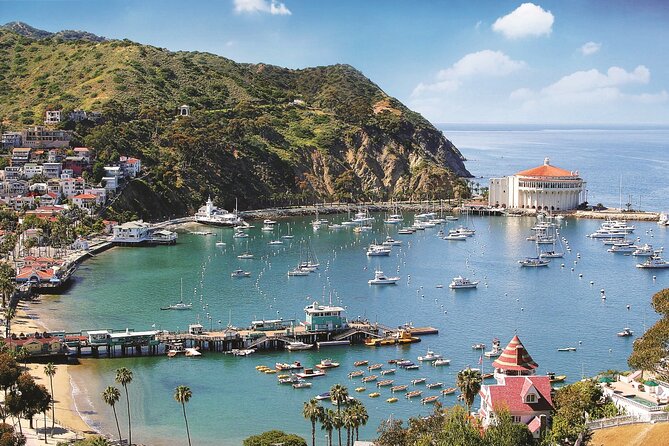 Catalina Express: San Pedro to Avalon One-Way Ferry - What kind of day works best in Avalon?