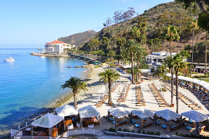 Catalina Express: San Pedro to Avalon One-Way Ferry - Booking, cancellations, and weather