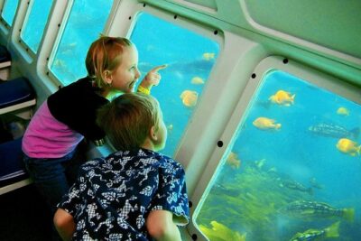 Catalina Island Day Trip from LAX area hotels with Undersea Adventure