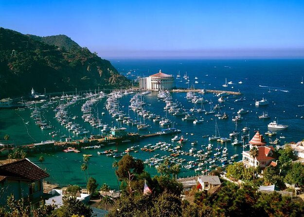 Catalina Island w/Discover Avalon Scenic Tour & Hotel transfers - Key points to know before you book