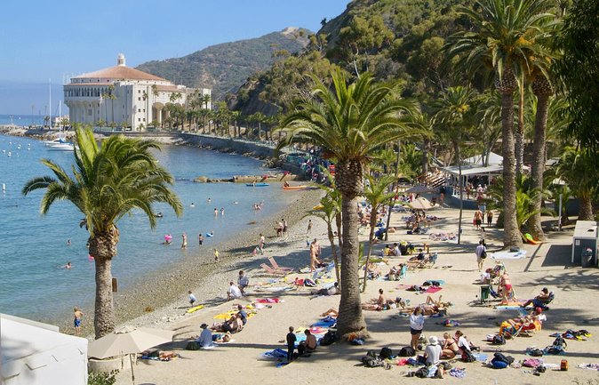 Catalina Island w/Discover Avalon Scenic Tour & Hotel transfers - From Anaheim hotel pickup to the Catalina Express