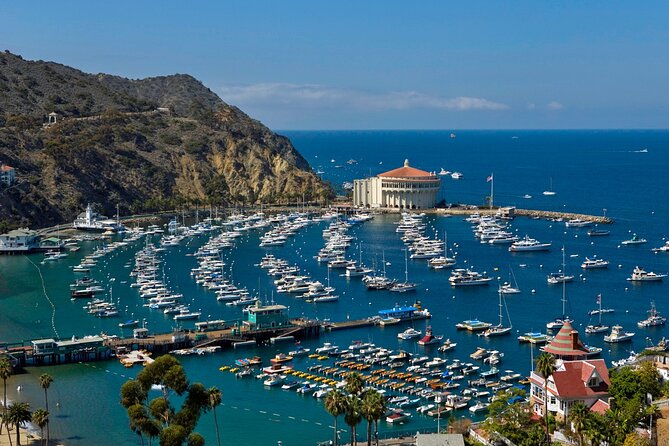Catalina Island w/Discover Avalon Scenic Tour & Hotel transfers - Descanso Beach Club and your free hours