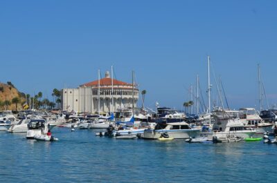 Catalina Island w/Discover Avalon Scenic Tour & Hotel transfers