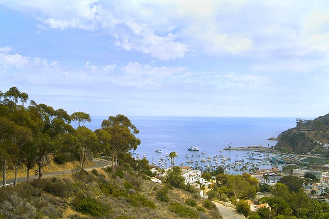 Catalina Island w/Discover Avalon Scenic Tour & Hotel transfers - The Catalina Island Casino Ballroom