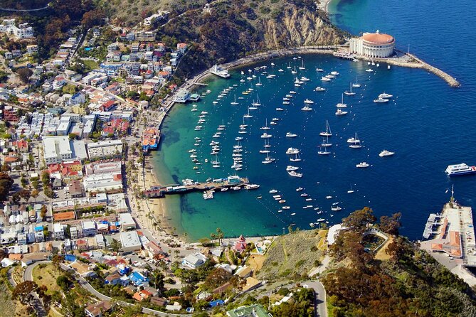 Catalina Island w/Discover Avalon Scenic Tour & Hotel transfers - What the guided portion is really like