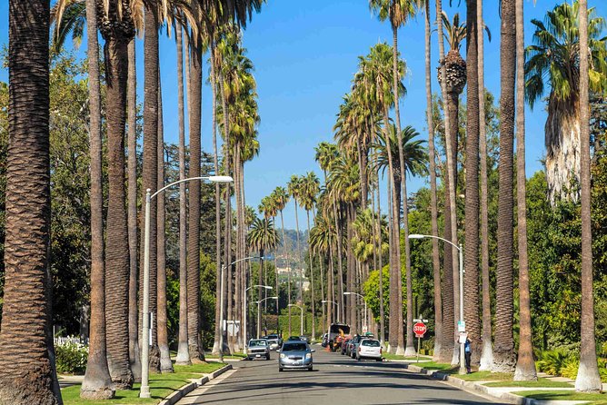 Deluxe Los Angeles 5-Hour Limo Tour with Drinks Included - What the private limo adds
