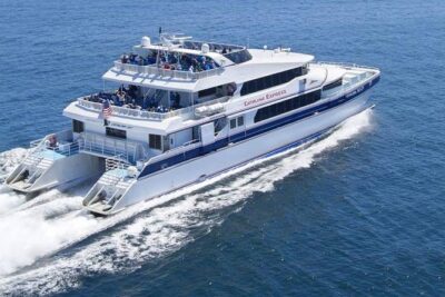 Catalina Island with Zipline Tour and Hotel Pickup