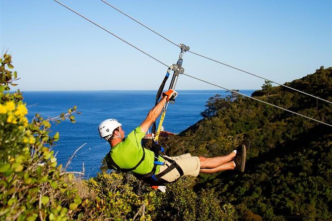 From LA: Catalina Island with Zipline Tour and Hotel Pickup - What the transport package is really worth