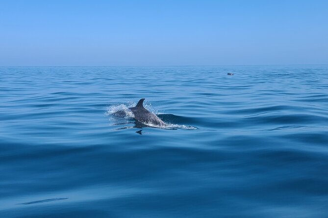 Guided Two hours Jetski Coastal Tour - Riding toward Palos Verdes and the Port of Los Angeles