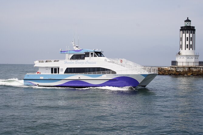 Guided Whale Watching Tour from Long Beach - What the itinerary adds beyond wildlife