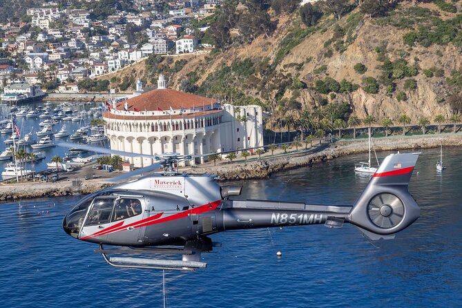 Helicopter Transfer: Long Beach to Catalina Island - Who will enjoy this transfer most