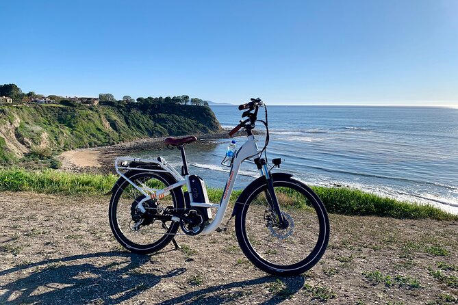 Hermosa Beach Self-Guided E-Bike Tour - Venice Beach: street life beside the sand