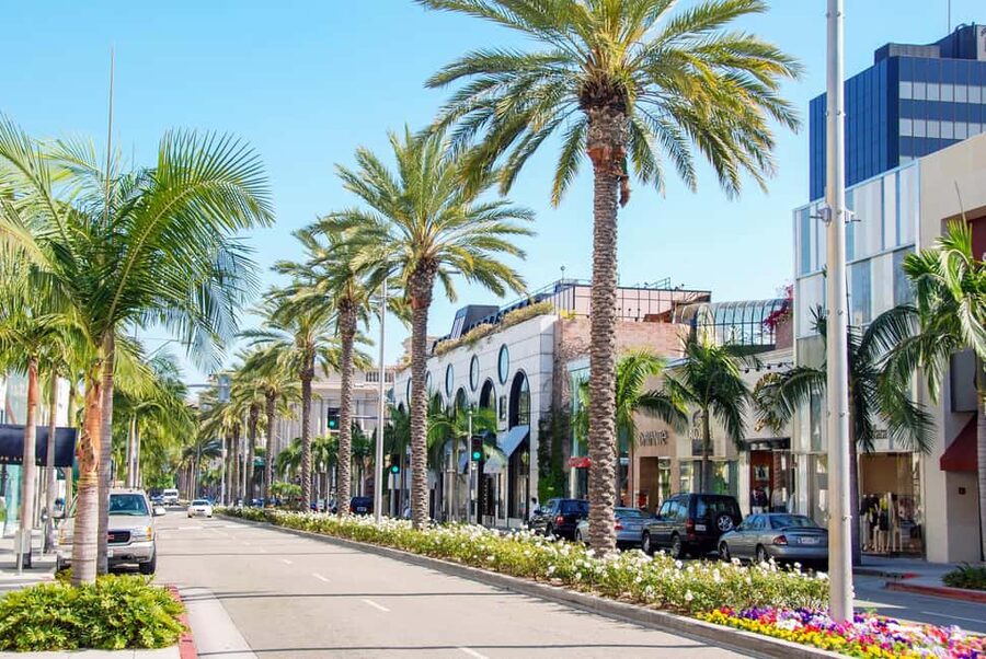 Hollywood, Beverly Hills, Santa Monica, Venice Beach Tour. - Venice Beach: a different kind of coastal stop
