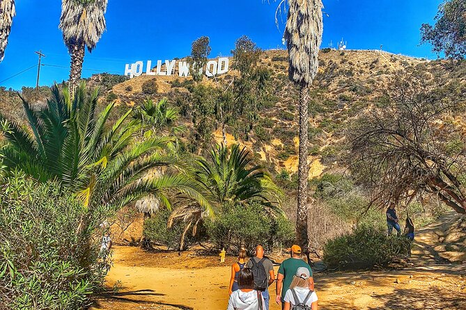 Hollywood Sign Express Tour with Comedians and Their Dogs - Getting the Hollywood Sign photo