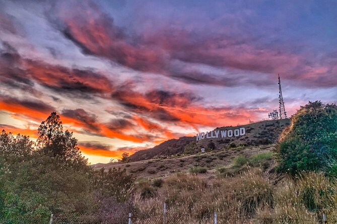 Hollywood Sign Express Tour with Comedians and Their Dogs - Griffith Park views and Hollywood context