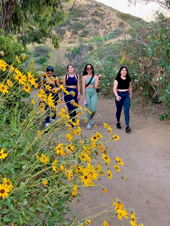 Hollywood Walking & Hiking Sunset Tour with LA Skyline Views - Jimmy Kimmel Live and the television side of Hollywood