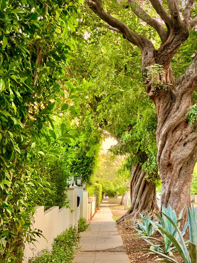 Hollywood Walking & Hiking Sunset Tour with LA Skyline Views - What $25 gets you, and what it does not