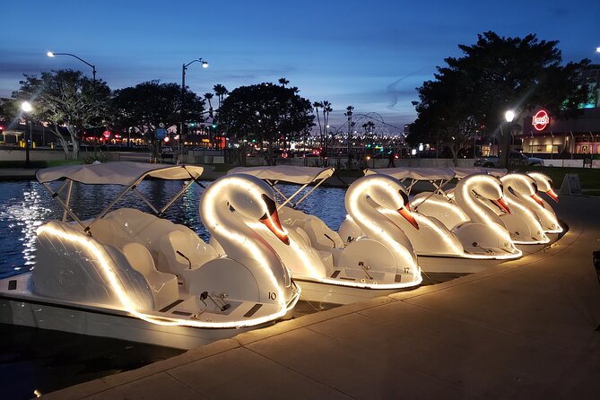 Illuminated Swan Boat Night Ride on Rainbow Lagoon in Long Beach - Checking in and choosing the right boat