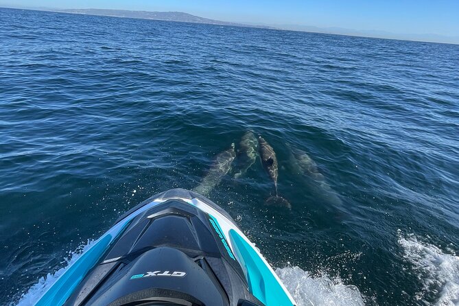 Jetski Adventure: Guided Trip from Long Beach to Catalina Island - Booking details and cancellation rules