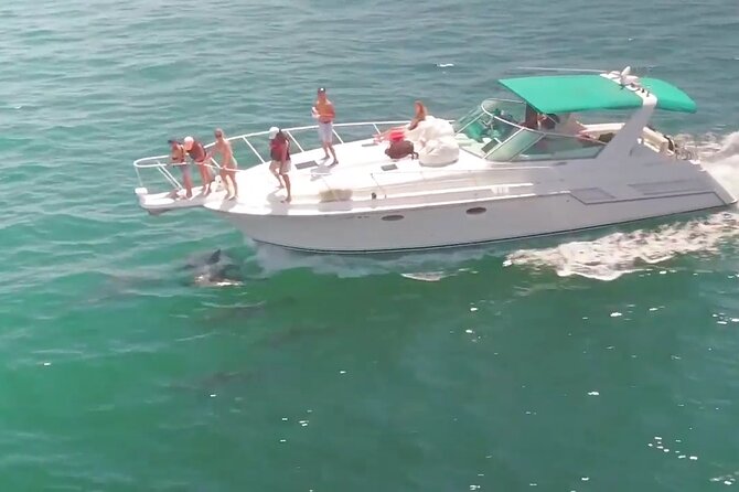LA: Birthday Special Private Yacht (1 ticket covers 1-6 people) - What the $399 price really buys you