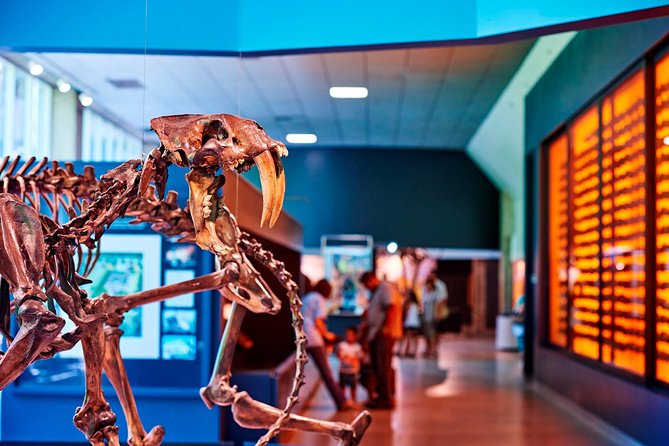 La Brea Tar Pits and Museum Admission Ticket with Excavator Tour - Start outside at the bubbling Lake Pit