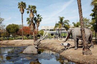 La Brea Tar Pits and Museum Admission Ticket with Excavator Tour