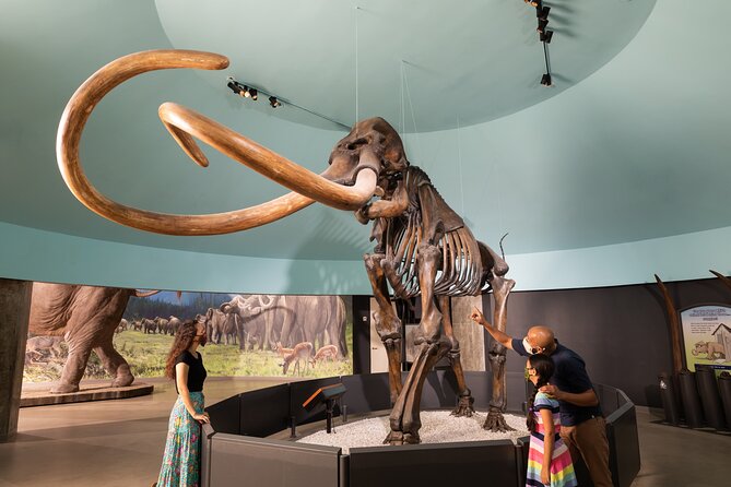 La Brea Tar Pits and Museum Admission Ticket with Excavator Tour - The film and extra shows cost more