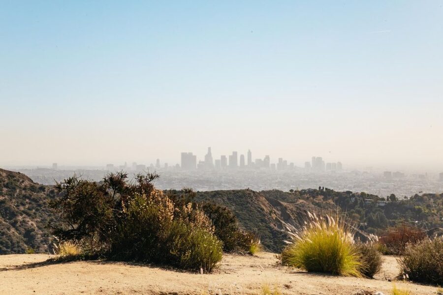 LA: Express Hollywood Sign Guided Walking Tour with Photos - Who will enjoy this Griffith Park walk?
