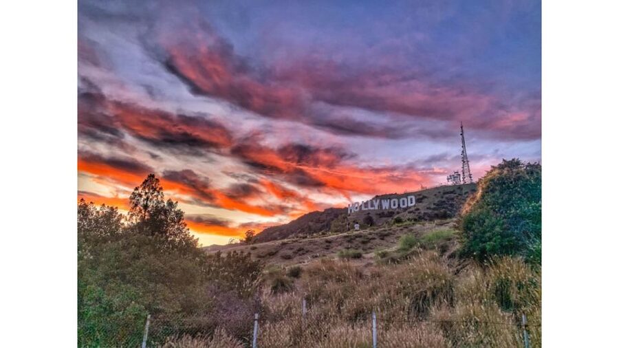 LA: Hollywood Sign Tour with Comedians, Dogs, & Epic Photos - Reaching the Hollywood Sign from the front