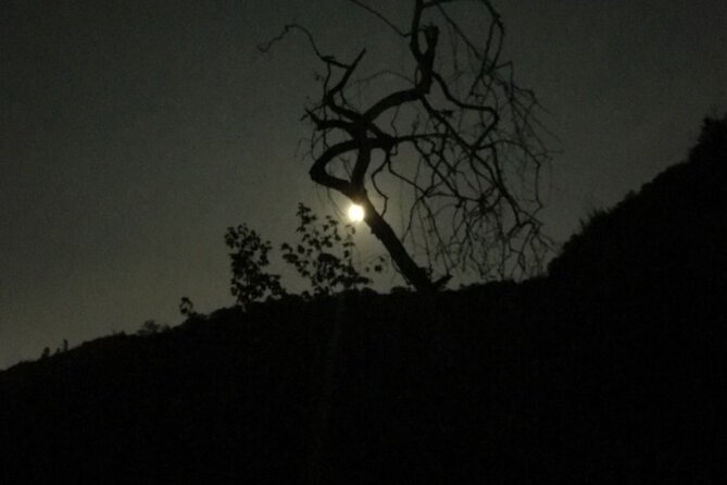 LA Night Hikers - Starting at 5400 Griffith Park Drive after sunset