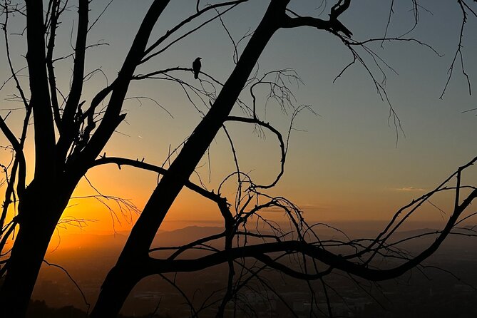LA Night Hikers - Views, wildlife, and the quieter side of Los Angeles