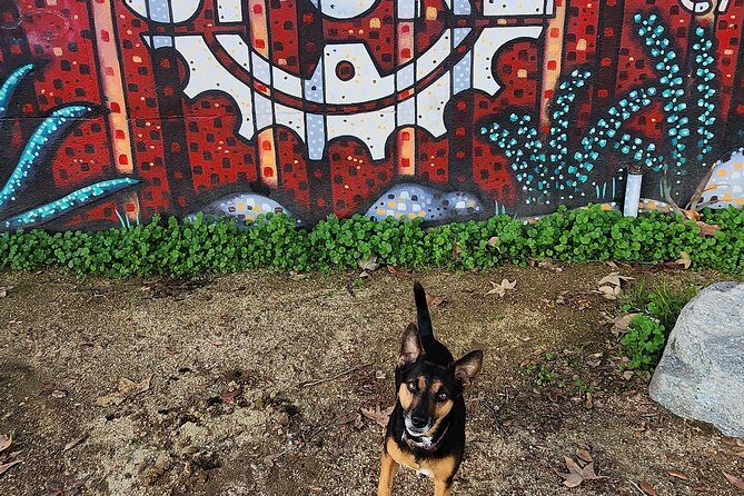 LA River Eco Tour and Secret Stair Hike - Why this LA walk feels different