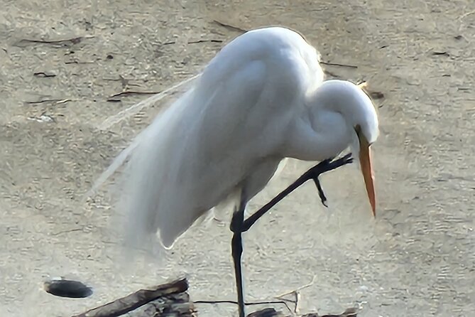 LA River Eco Tour and Secret Stair Hike - Starting at Lewis MacAdams Riverfront Park