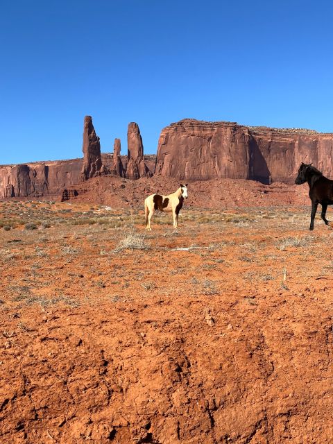 LA: San Francisco, Yosemite, Las Vegas, Antelope, 8-Day Tour - Monument Valley by Jeep