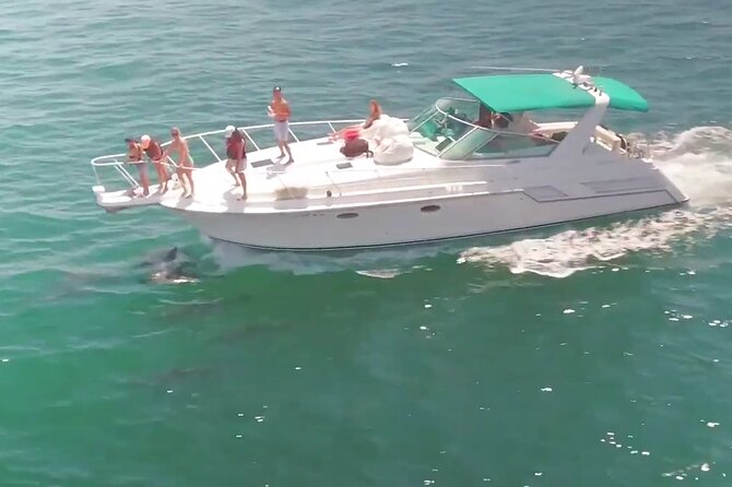 LA: Yacht Private Trip -1 hour (1 ticket covers 1-6 ppl - Making the outdoor table work for your occasion