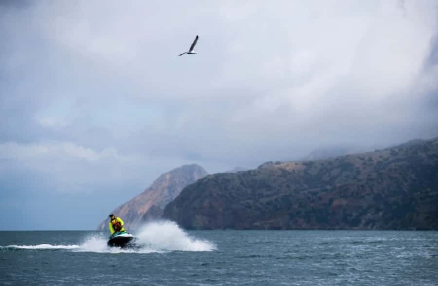 Long Beach: 2-Hour Guided Jet Ski Coastal Tour - Dolphin watching from the water
