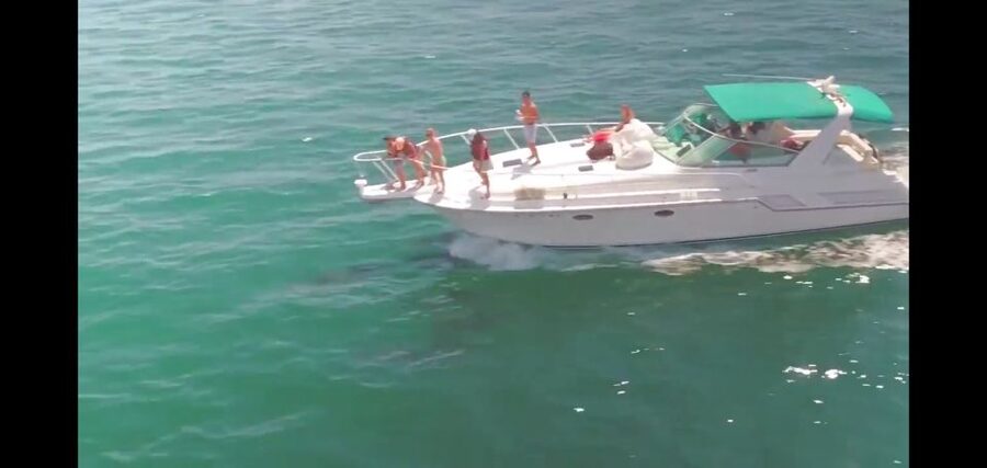 Long Beach: 2-Hour Private Group Yacht Cruise - Wildlife is a welcome bonus