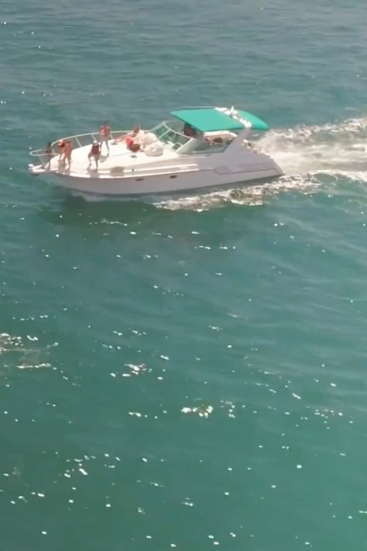 Long Beach: 3hr Private Yacht Trip (1 ticket covers 1-6 ppl) - The return through Long Beach’s harbor