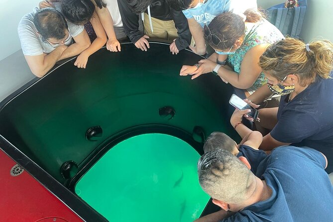 Long Beach Glass Bottom Boat Eco-Tour - A short cruise with two different views of Long Beach
