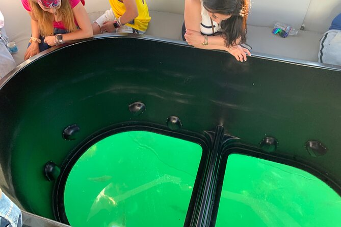 Long Beach Glass Bottom Boat Eco-Tour - The glass bottom and the Federal Break