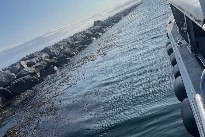 Long Beach Glass Bottom Boat Eco-Tour - Fish, seals, sea lions, and a little luck