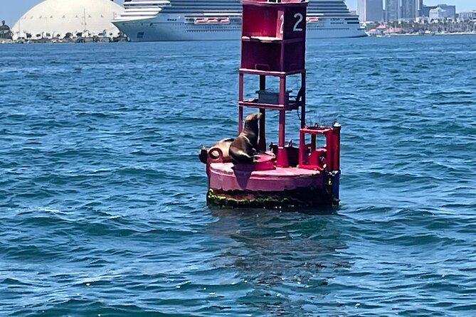 Long Beach Glass Bottom Boat Eco-Tour - What the boat feels like for an hour