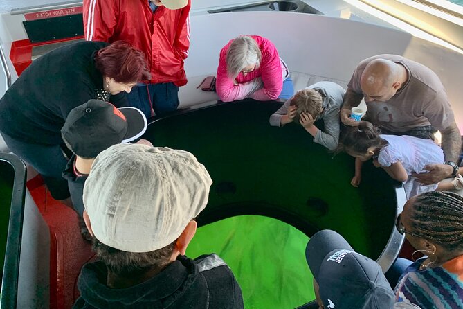 Long Beach Glass Bottom Boat Eco-Tour - Best for families, quick outings, and harbor views