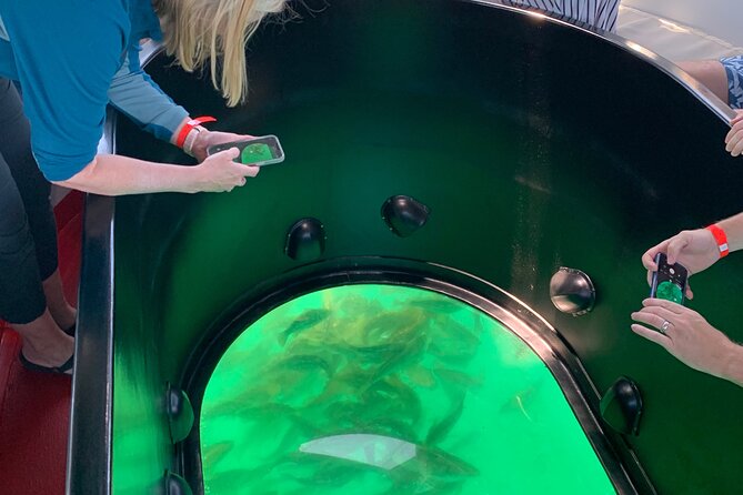 Long Beach Glass Bottom Boat Eco-Tour - How to make the most of the hour