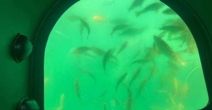 Long Beach: Glass Bottom Boat Harbor Ecotour - Key points to know before you go