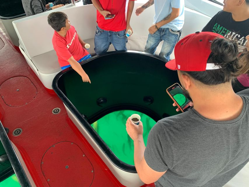 Long Beach: Glass Bottom Boat Harbor Ecotour - Timing, price, and practical planning