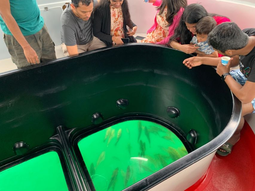 Long Beach: Glass Bottom Boat Harbor Ecotour - What can make the experience less satisfying